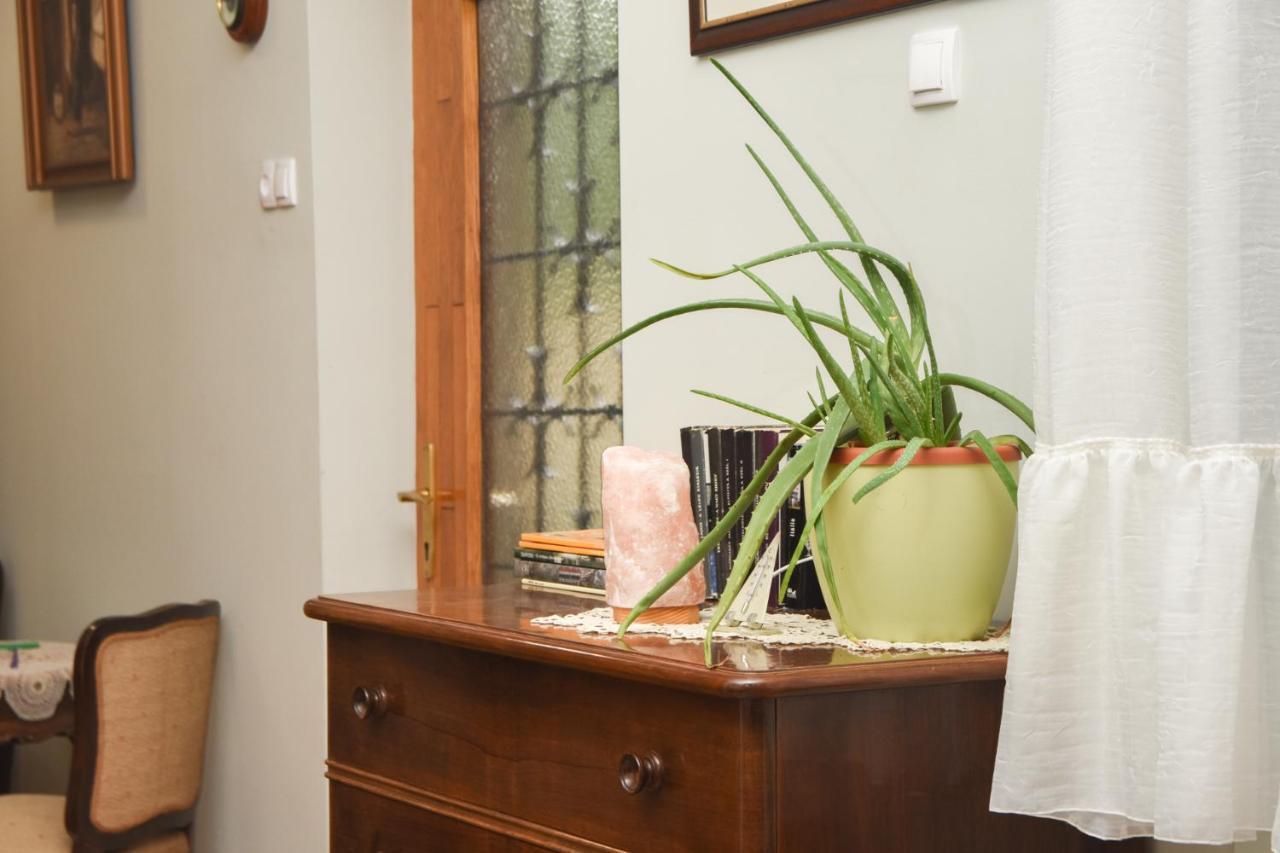 Apartman Woolf Senta Dış mekan fotoğraf